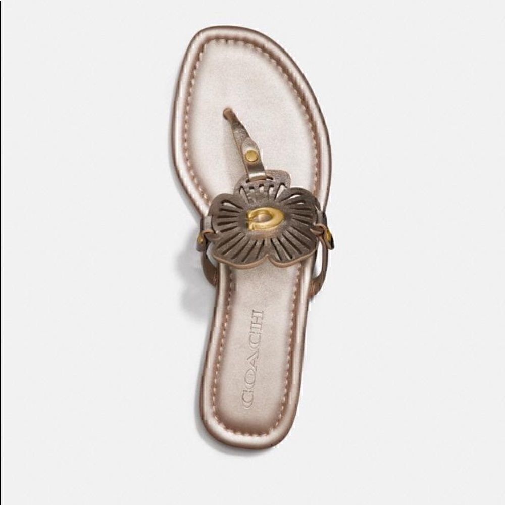 COACH JULIA SANDALS metallic gold or champagne Bnib womens 10 - Picture 3 of 12